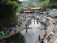 秋川 国際 マス 釣り場