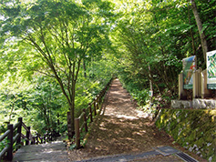 三頭山 セラピーロード