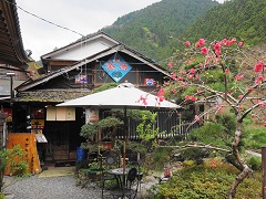 そば 檜原 村