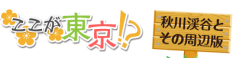 ここが東京!? 『秋川渓谷とその周辺版』