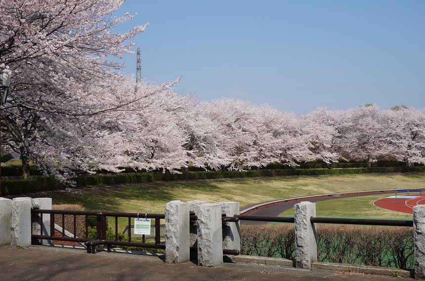 秋留台公園