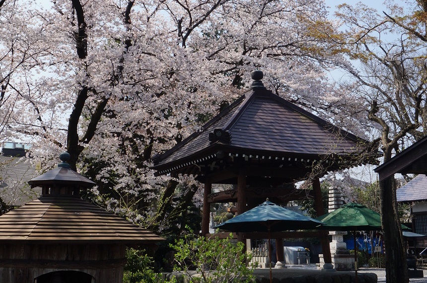 玉泉寺