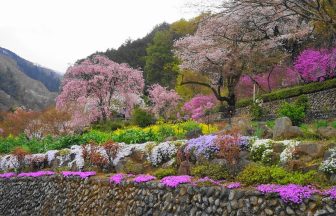 乙津 花の里