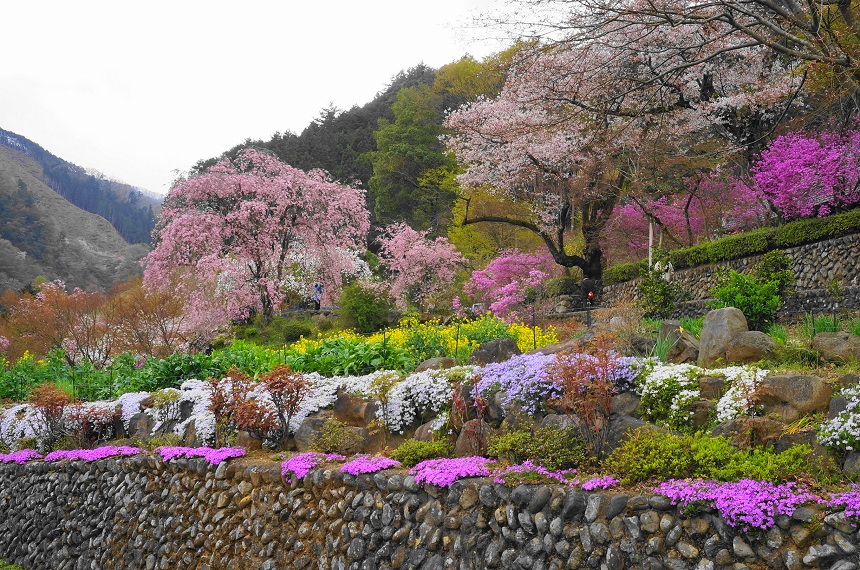 乙津 花の里