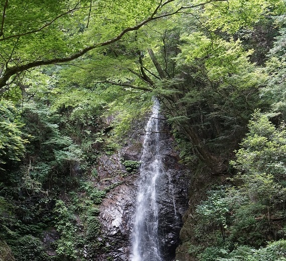 払沢の滝