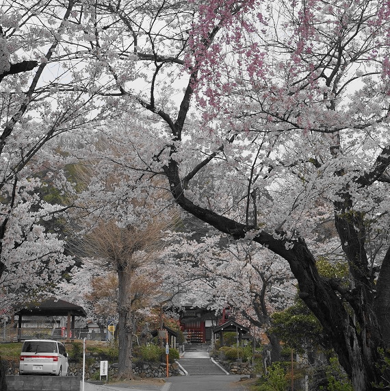 宝蔵寺・尾崎観音