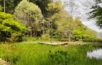 小峰公園