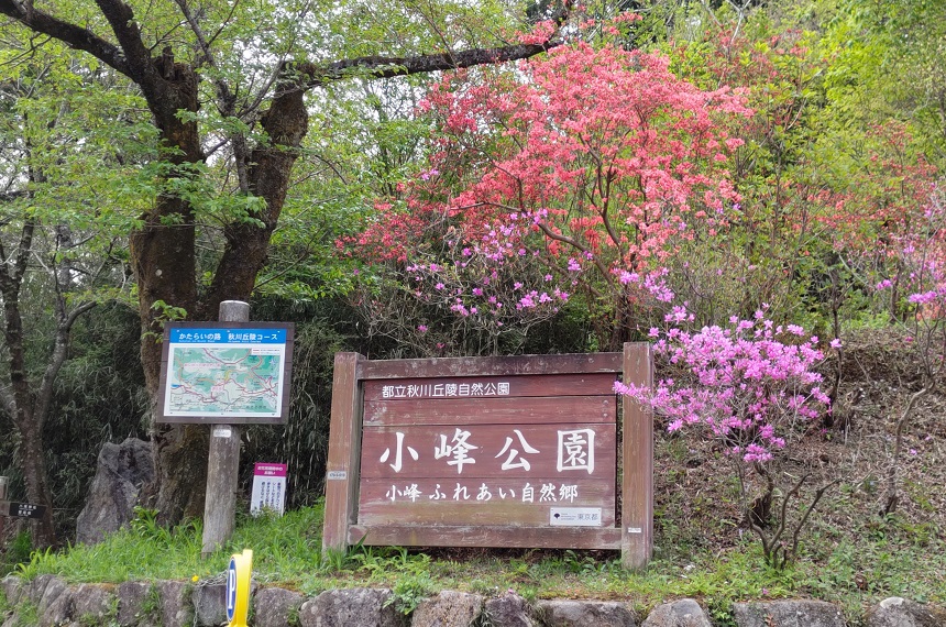 小峰公園