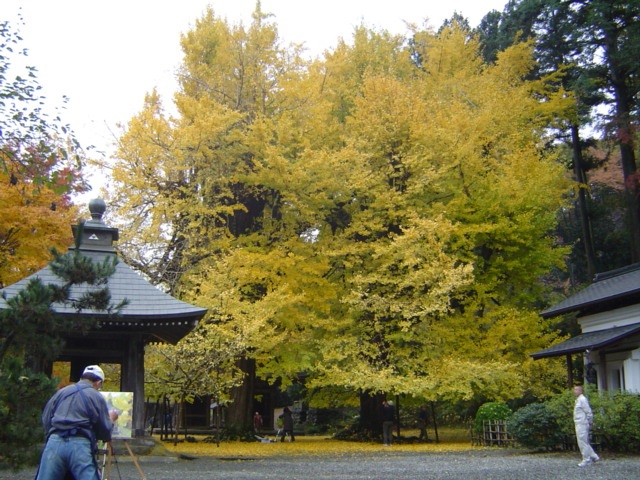 広徳寺