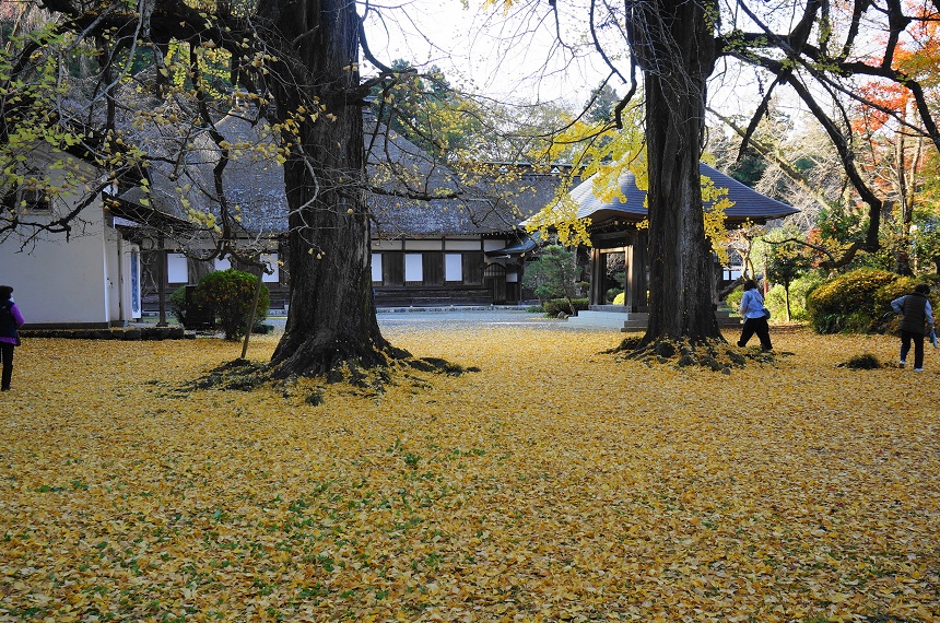 広徳寺