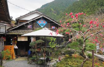 手打そば 深山