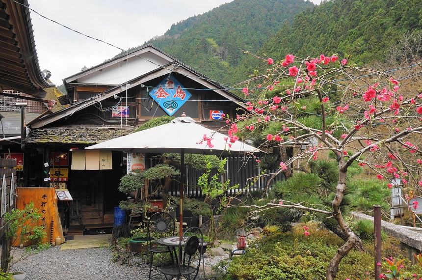 手打そば 深山