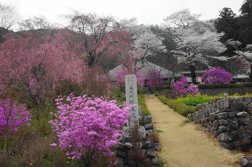 龍珠院