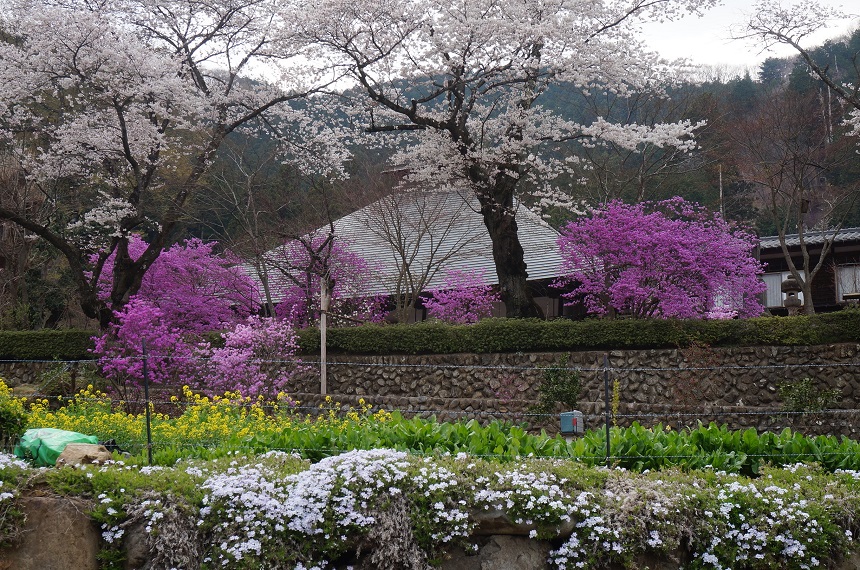 龍珠院