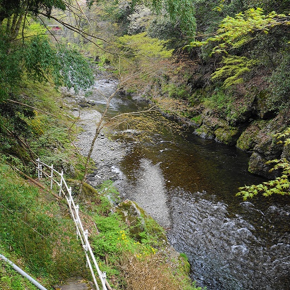 バーベキュー場 谷合