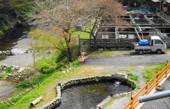 トラウトファーム秋川