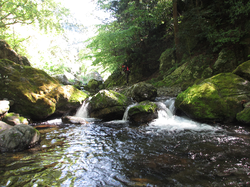 秋川国際マス釣場