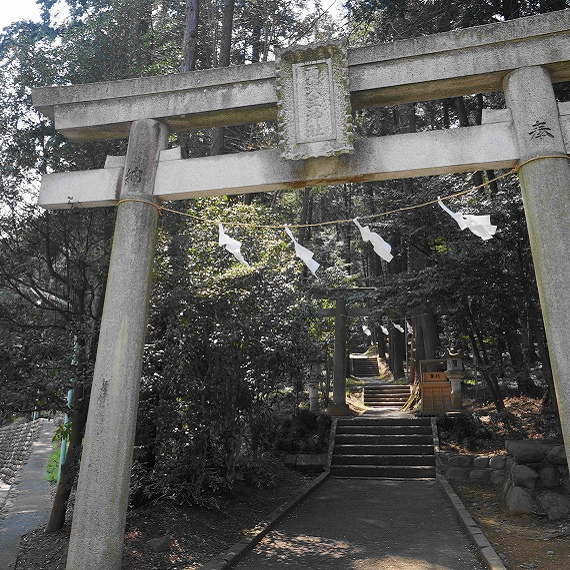 雨武主神社