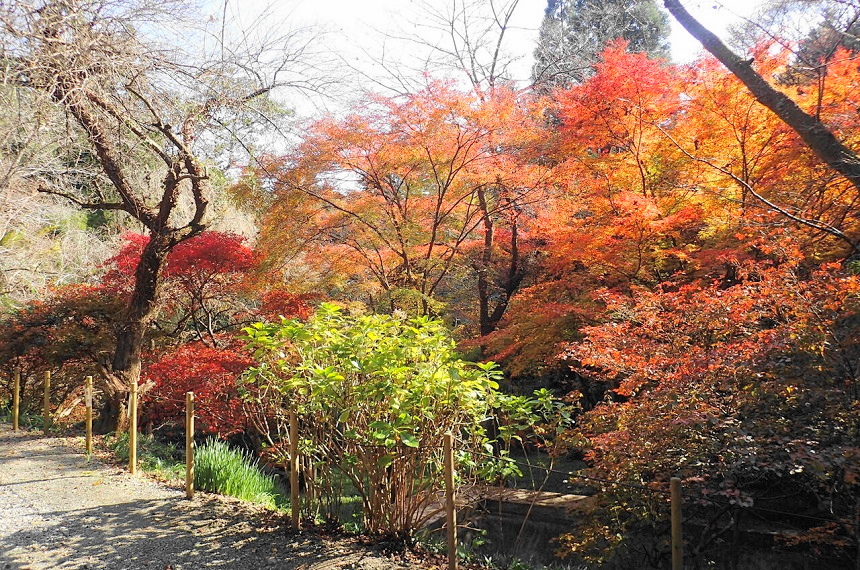 日の出山荘